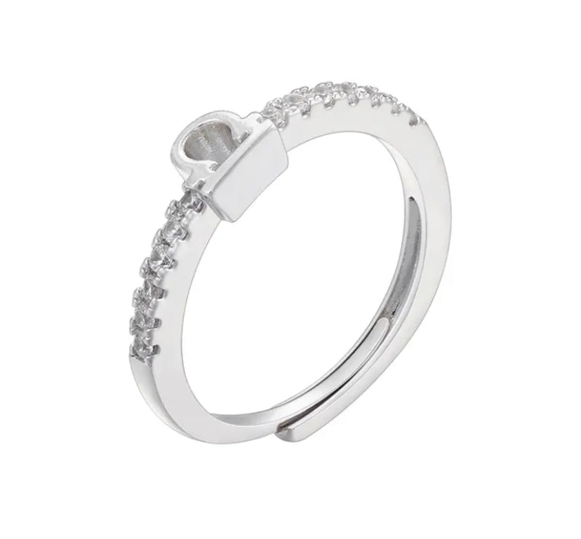 Zodiac Sign Silver Ring