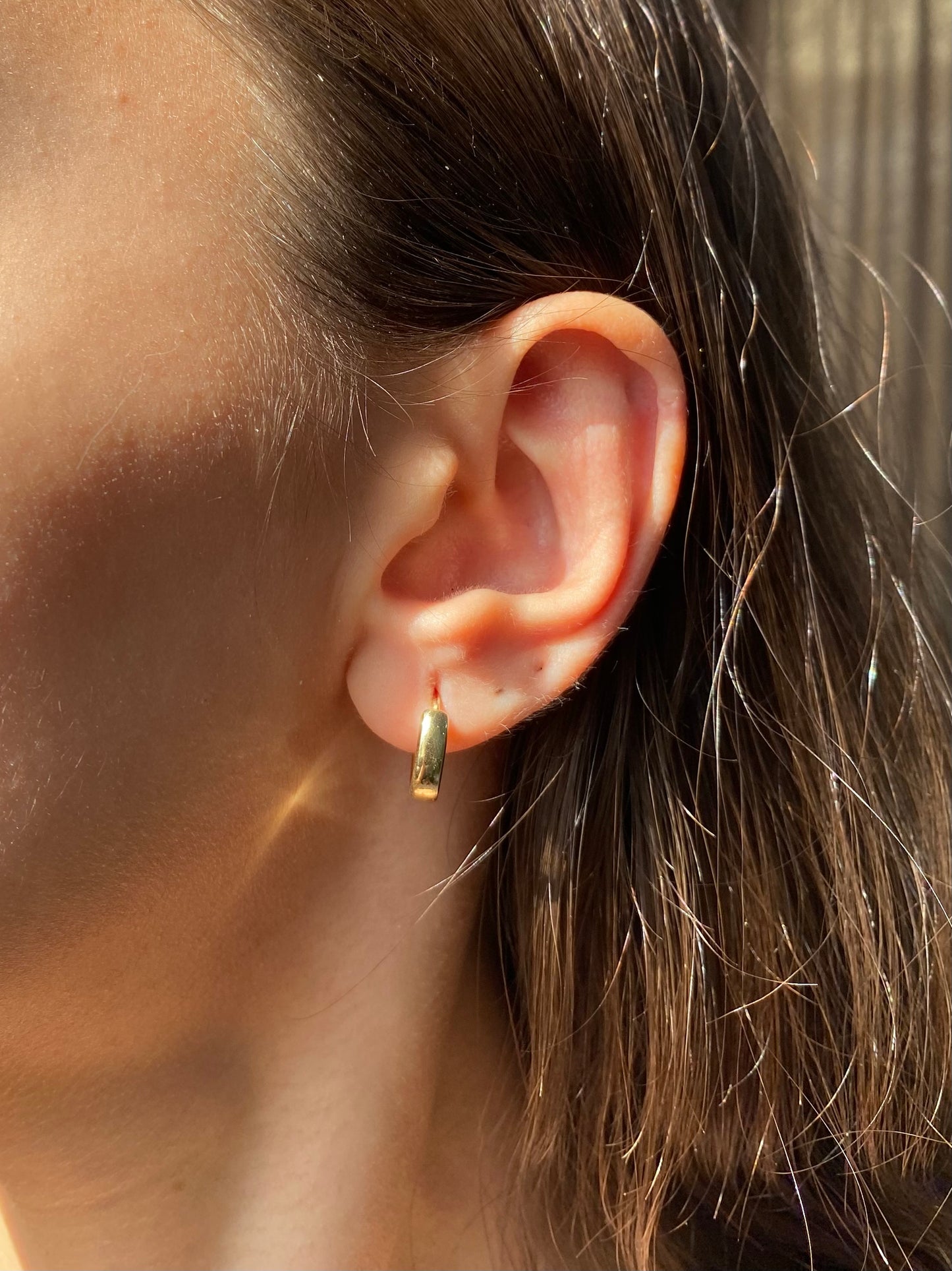 Thick Hoops Earrings