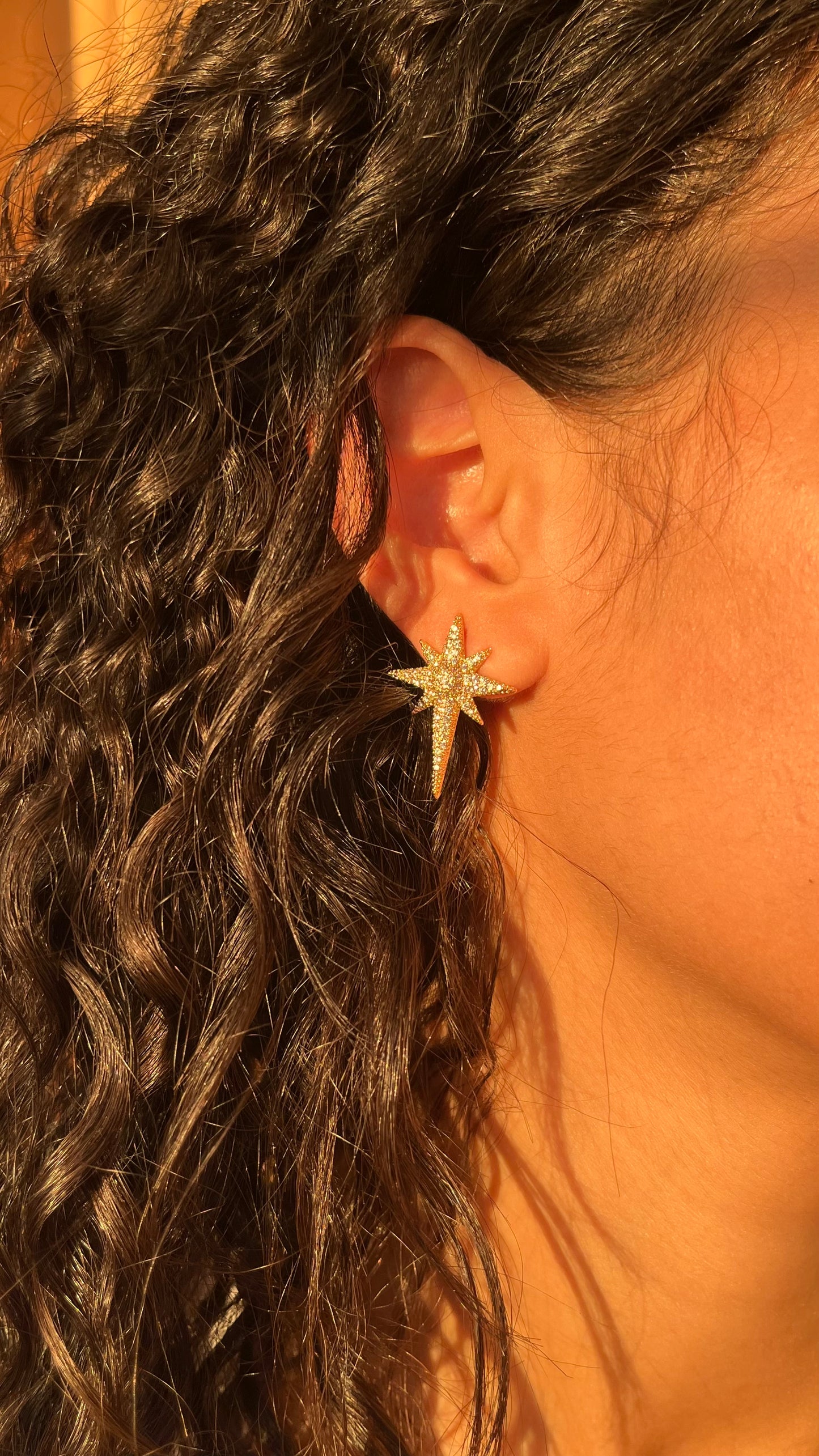 Diamonds Starburst Earrings