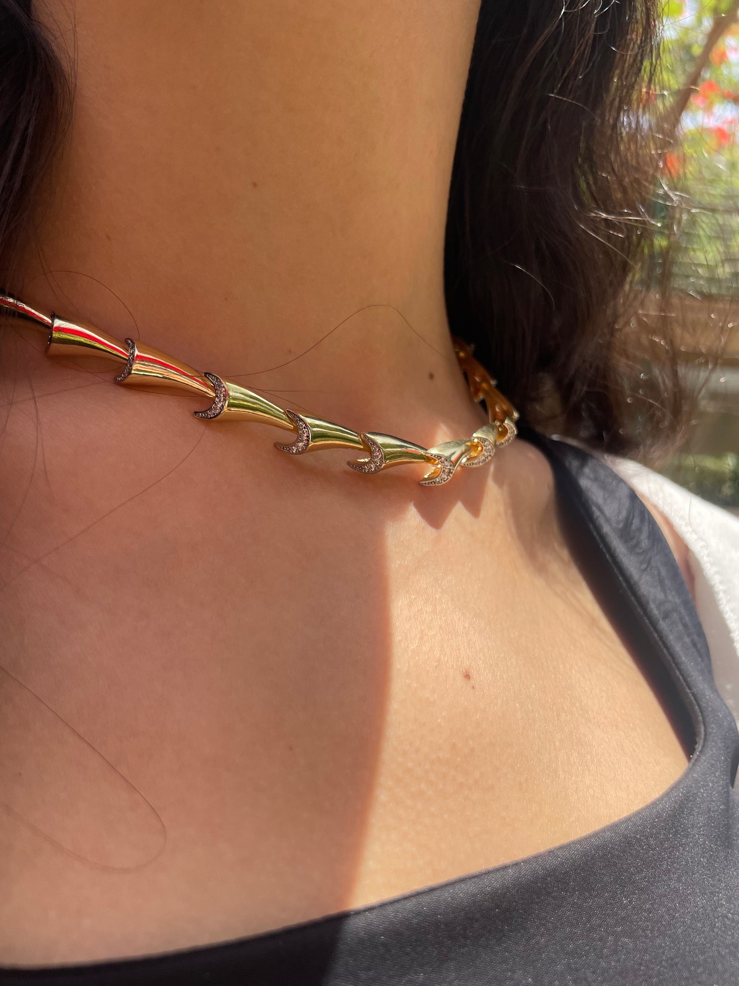 Elarin Choker