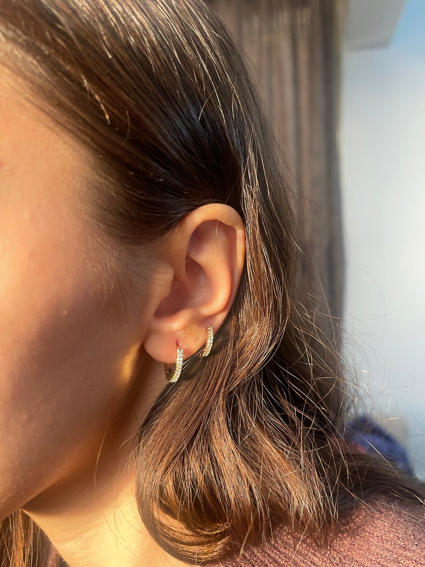 Diamonds Hoop Earrings