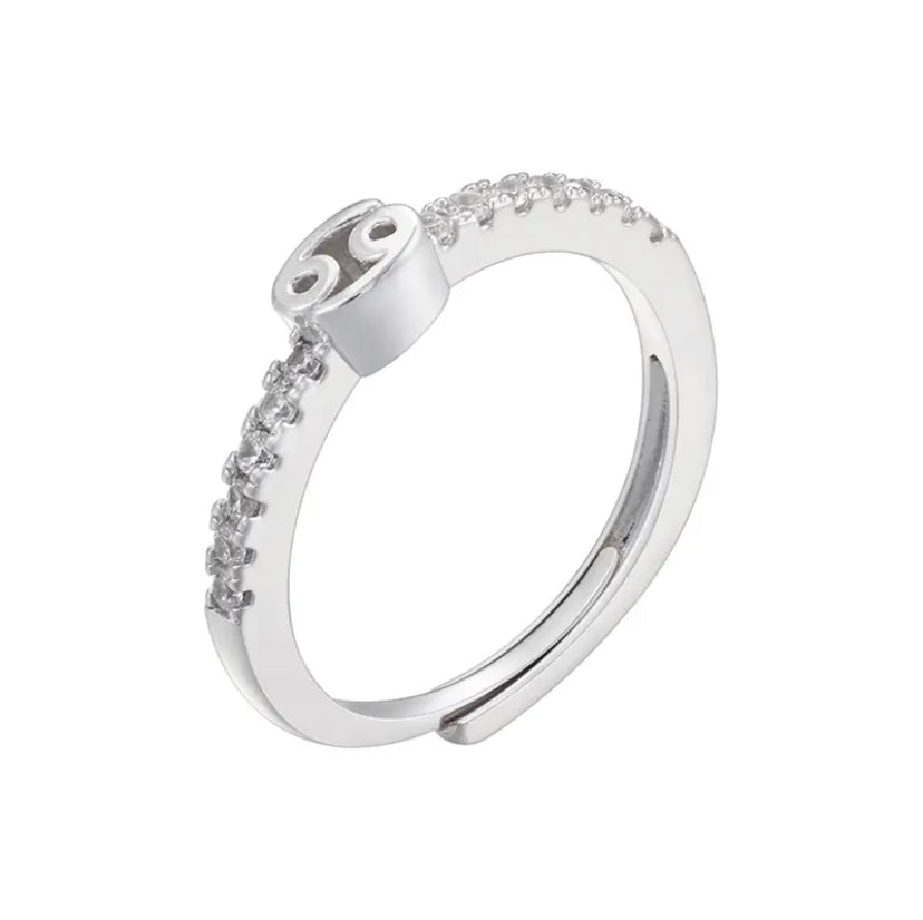 Zodiac Sign Silver Ring