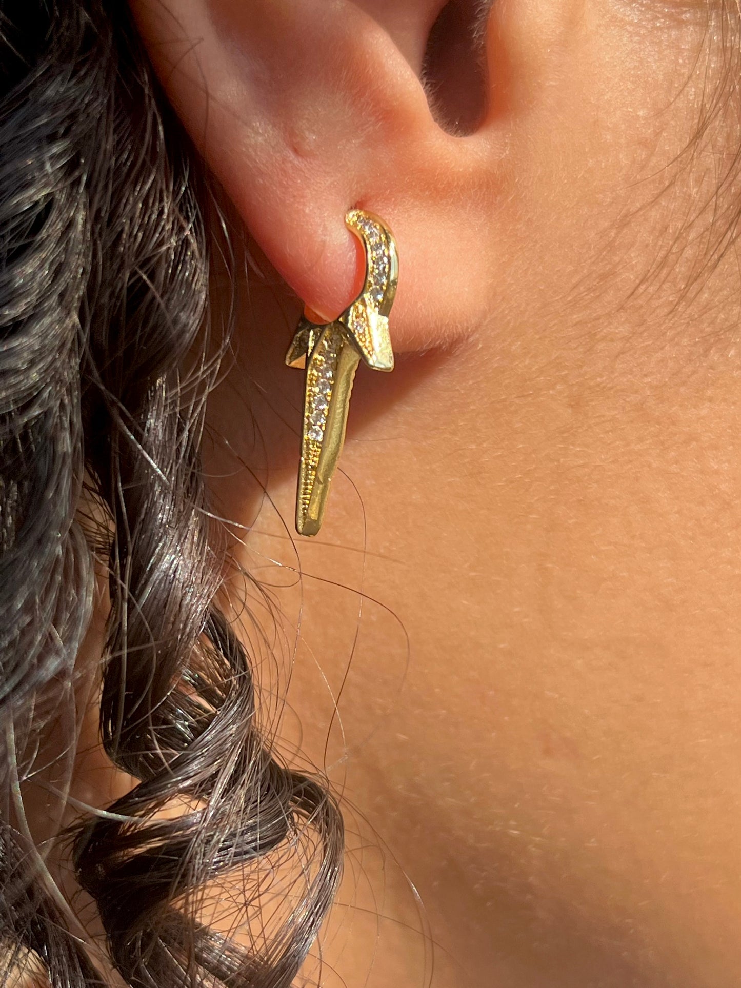 Spike Earrings