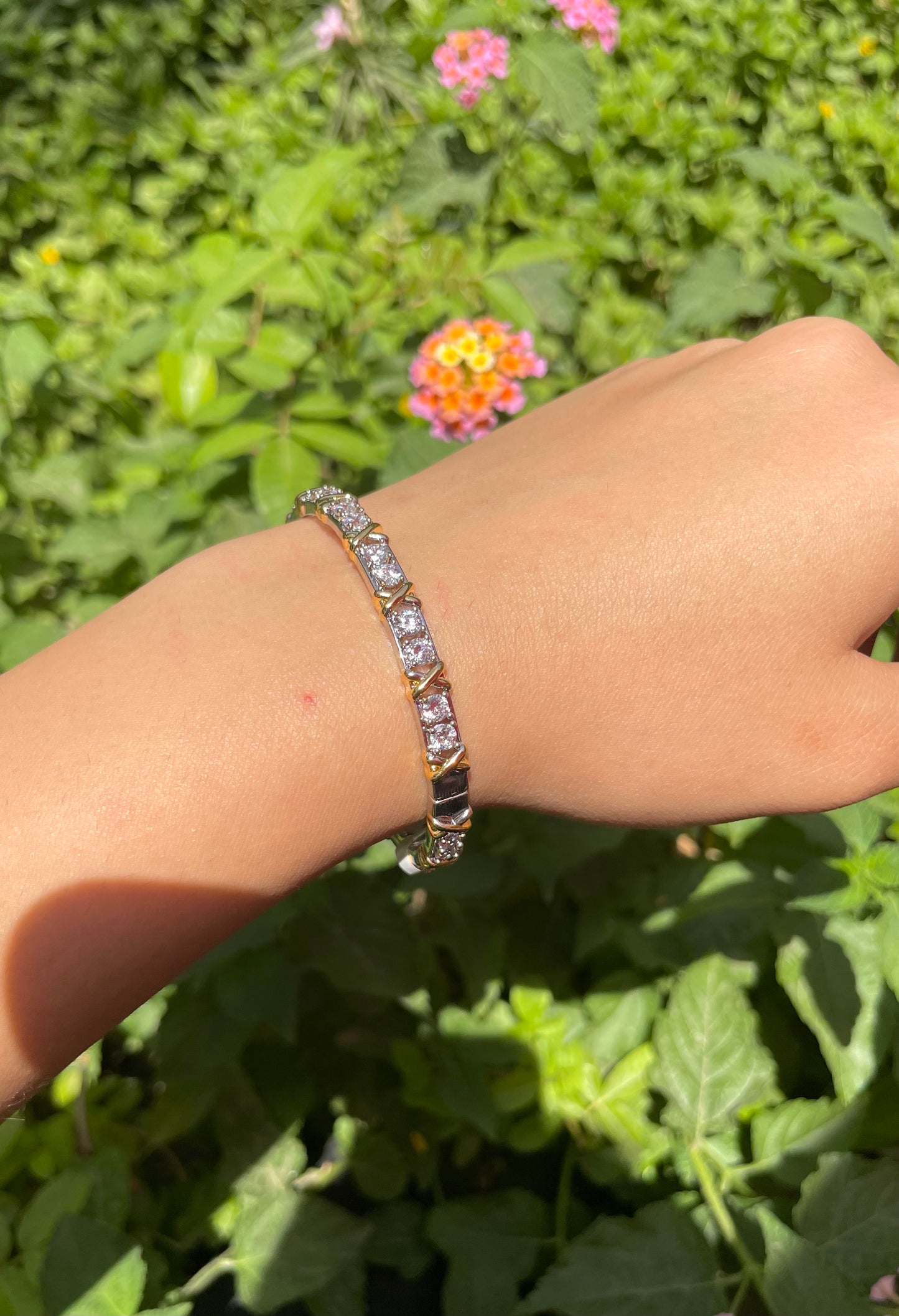 Alexa Bangle
