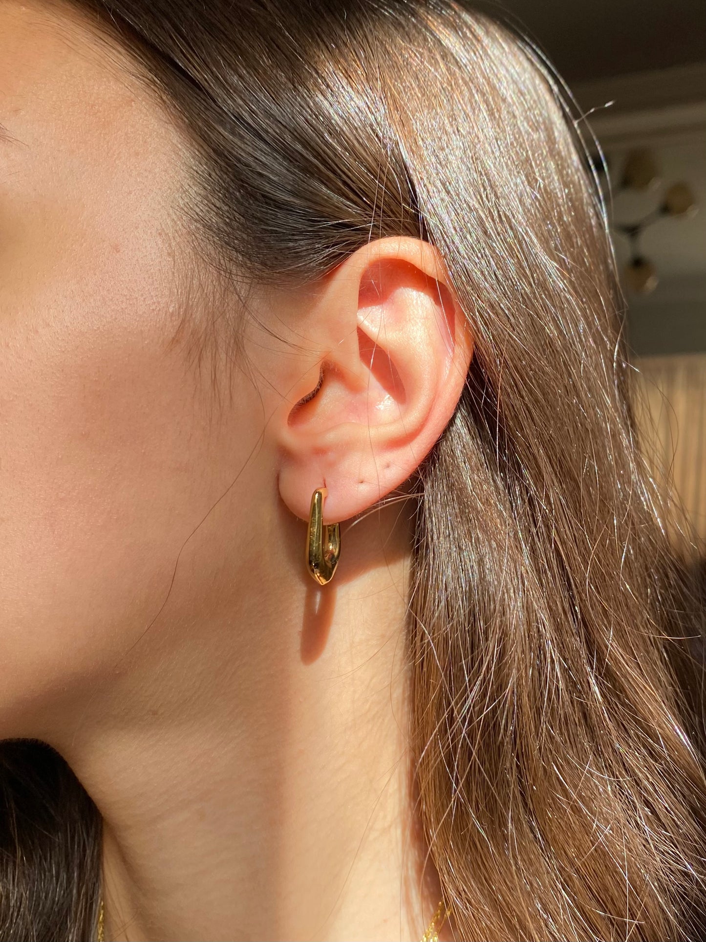 Curve Hoops Earrings