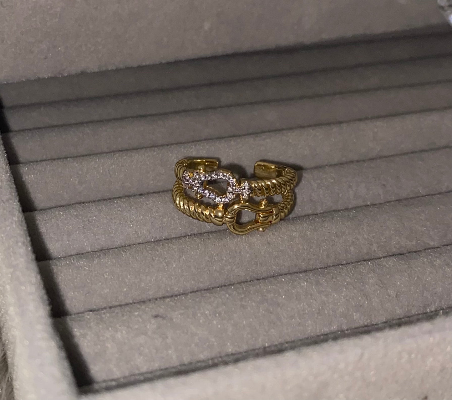 Double Hook Ring