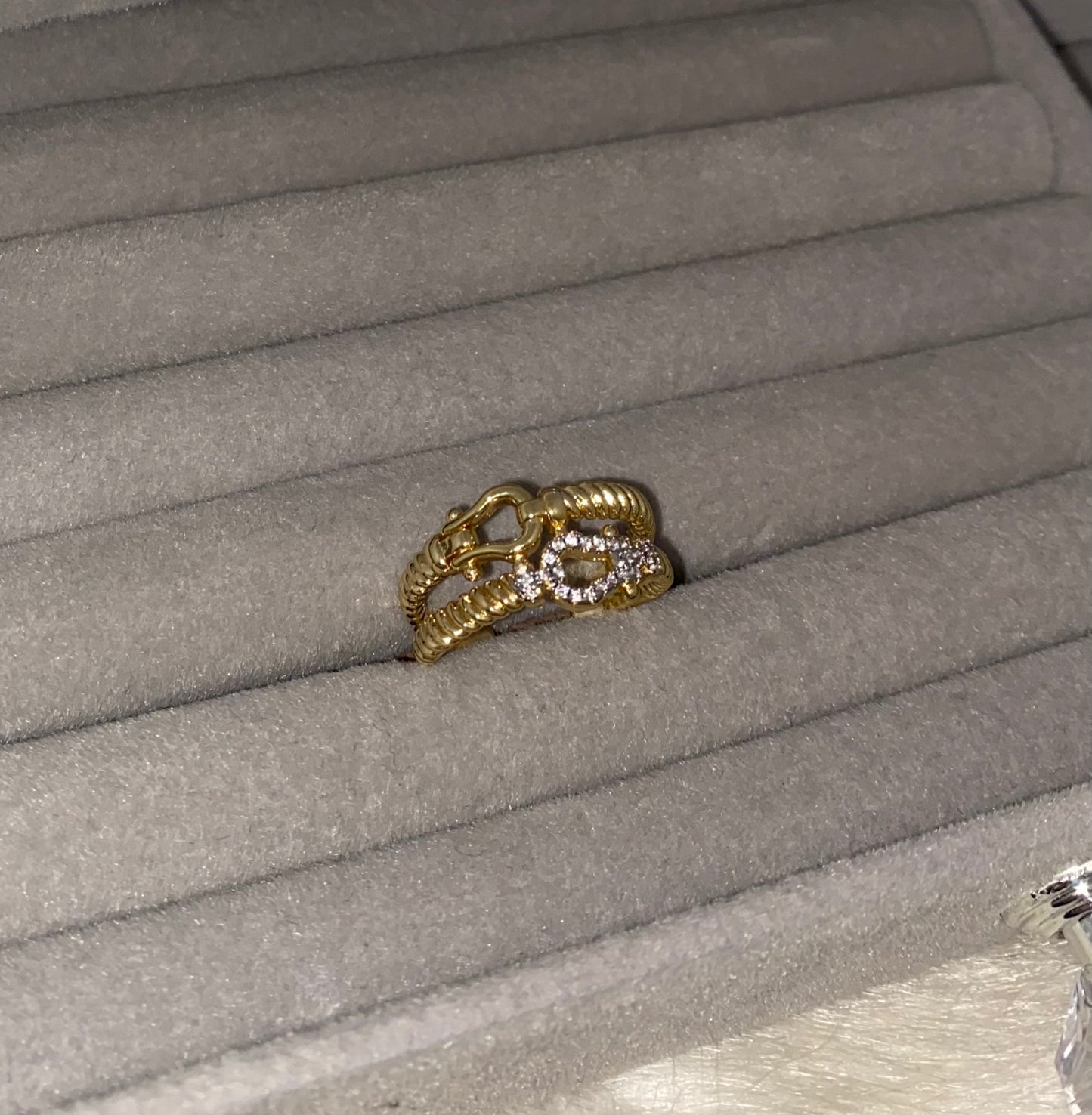 Double Hook Ring