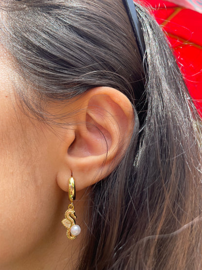 Seahorse Earrings