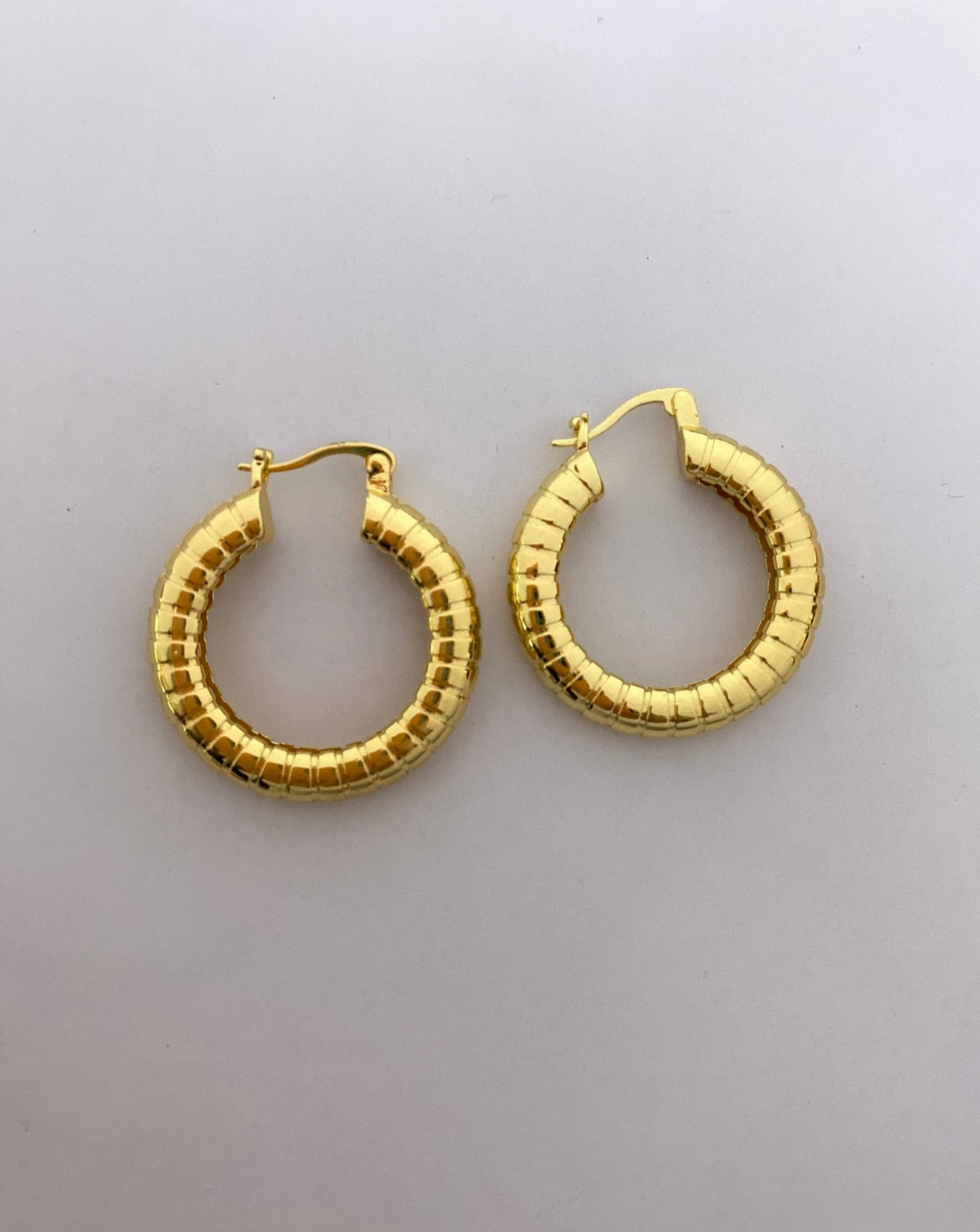 Snake Hoop Earrings