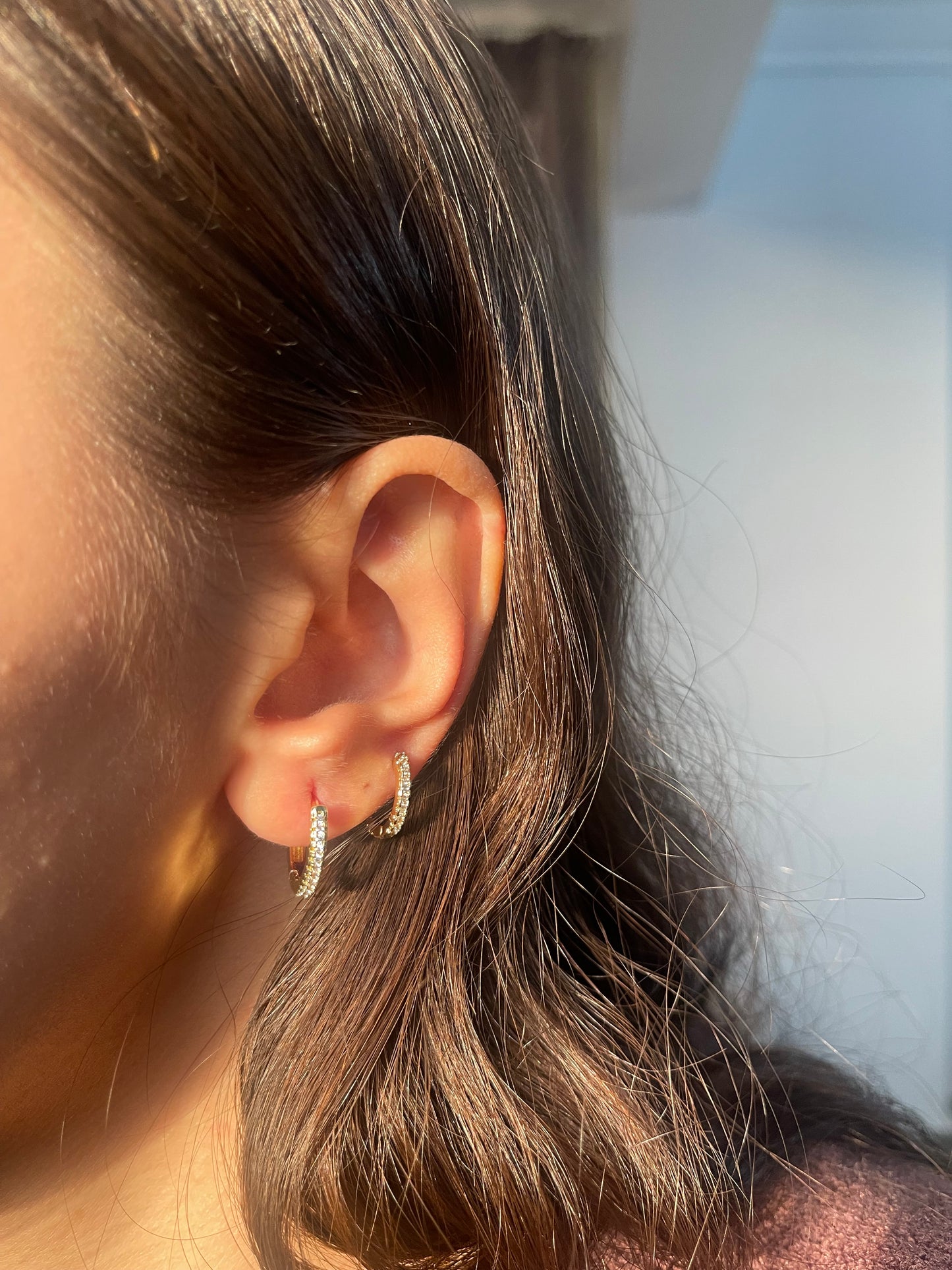 Diamonds Hoop Earrings