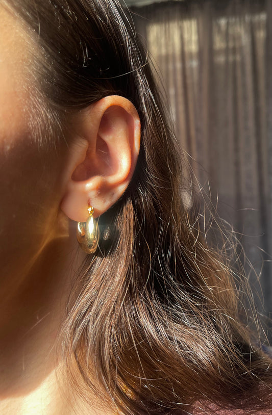 Vexa Hoop Earrings