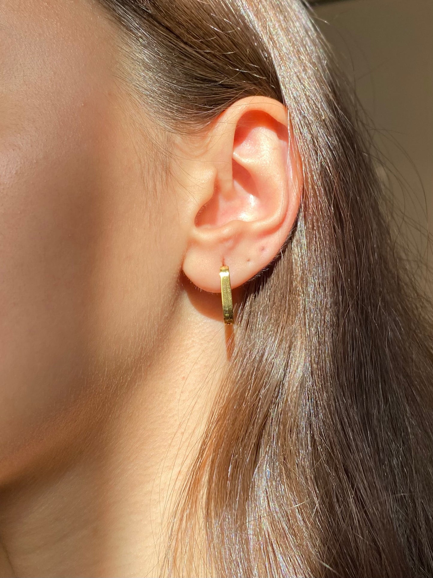 Bold Hoops Earrings