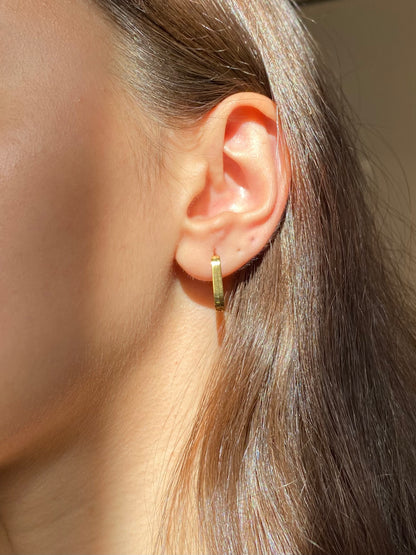 Bold Hoops Earrings