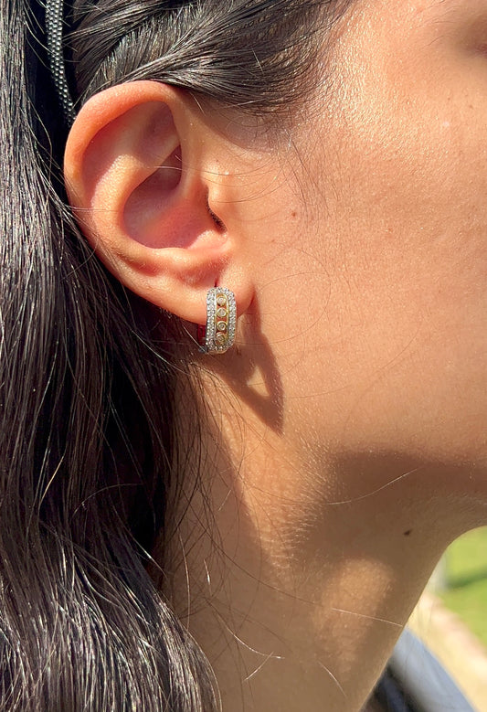 Move silverxgold Earrings
