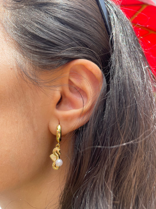 Seahorse Earrings