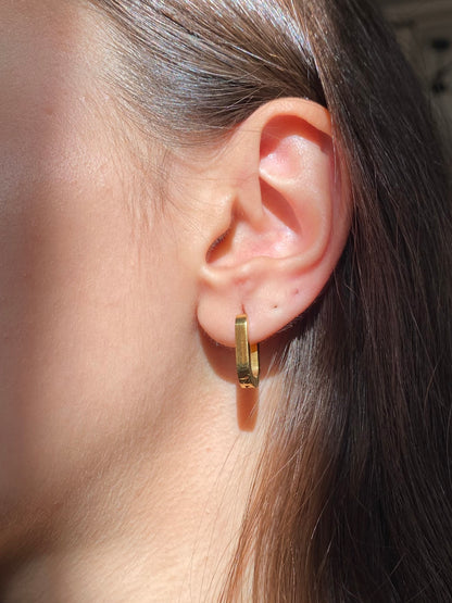 Bold Hoops Earrings