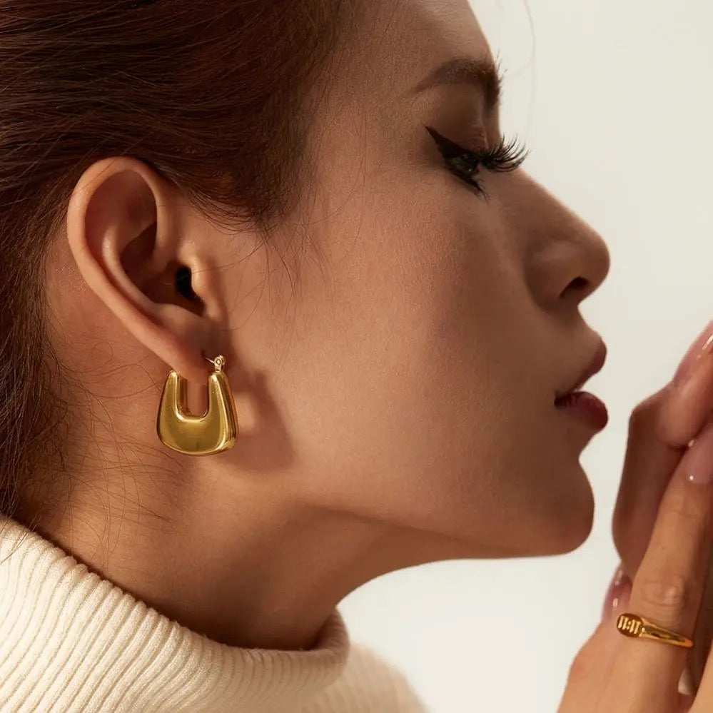 Carolay Gold Earrings