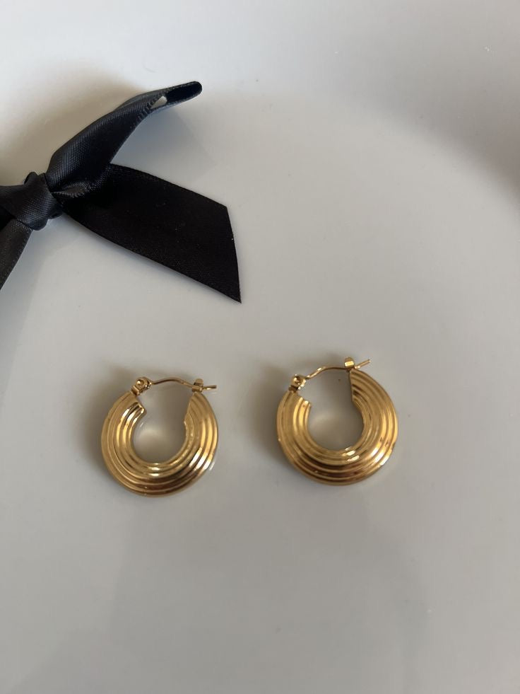 Brinco Hoop Earrings