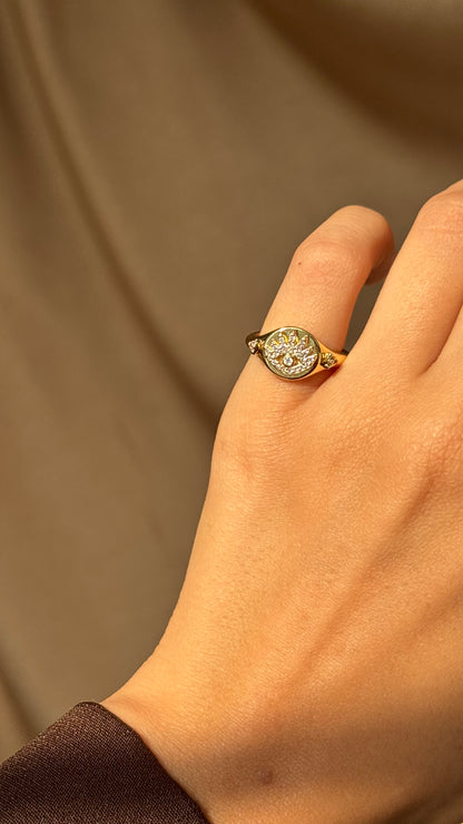 Gaze Pinky Ring