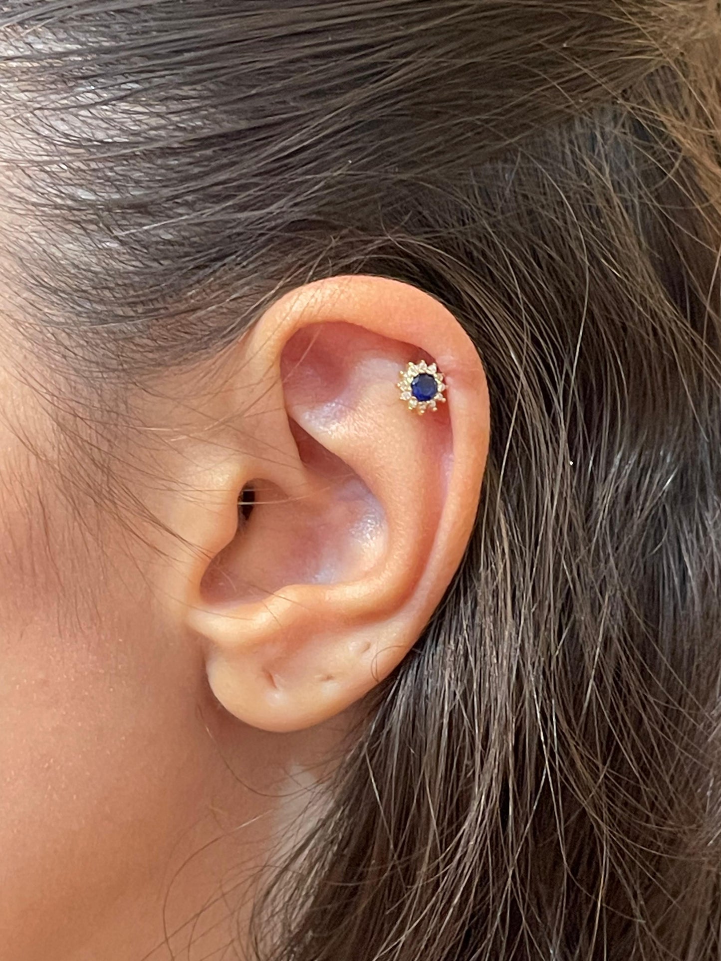 ثقب الشمس الملكي الفردي