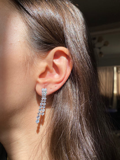 Elite Silver Earrings