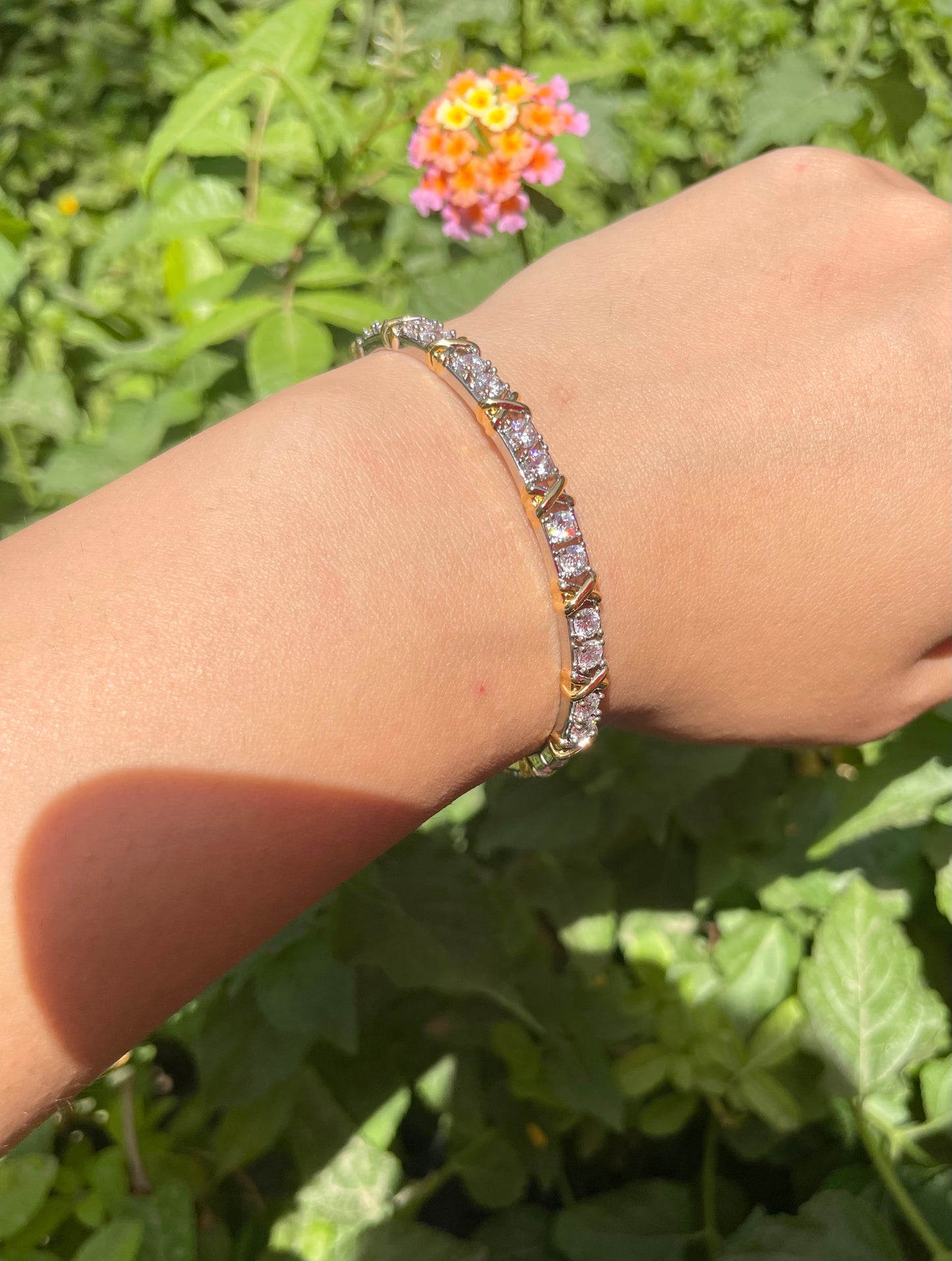 Alexa Bangle