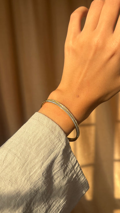 The Shiny bangle