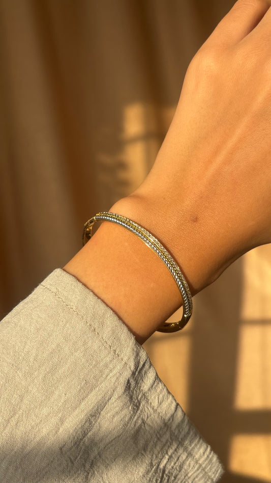 The Shiny bangle